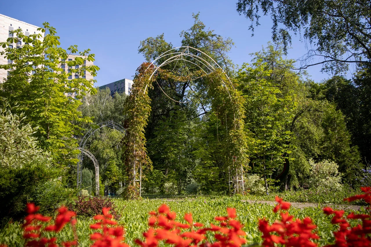 Территория.