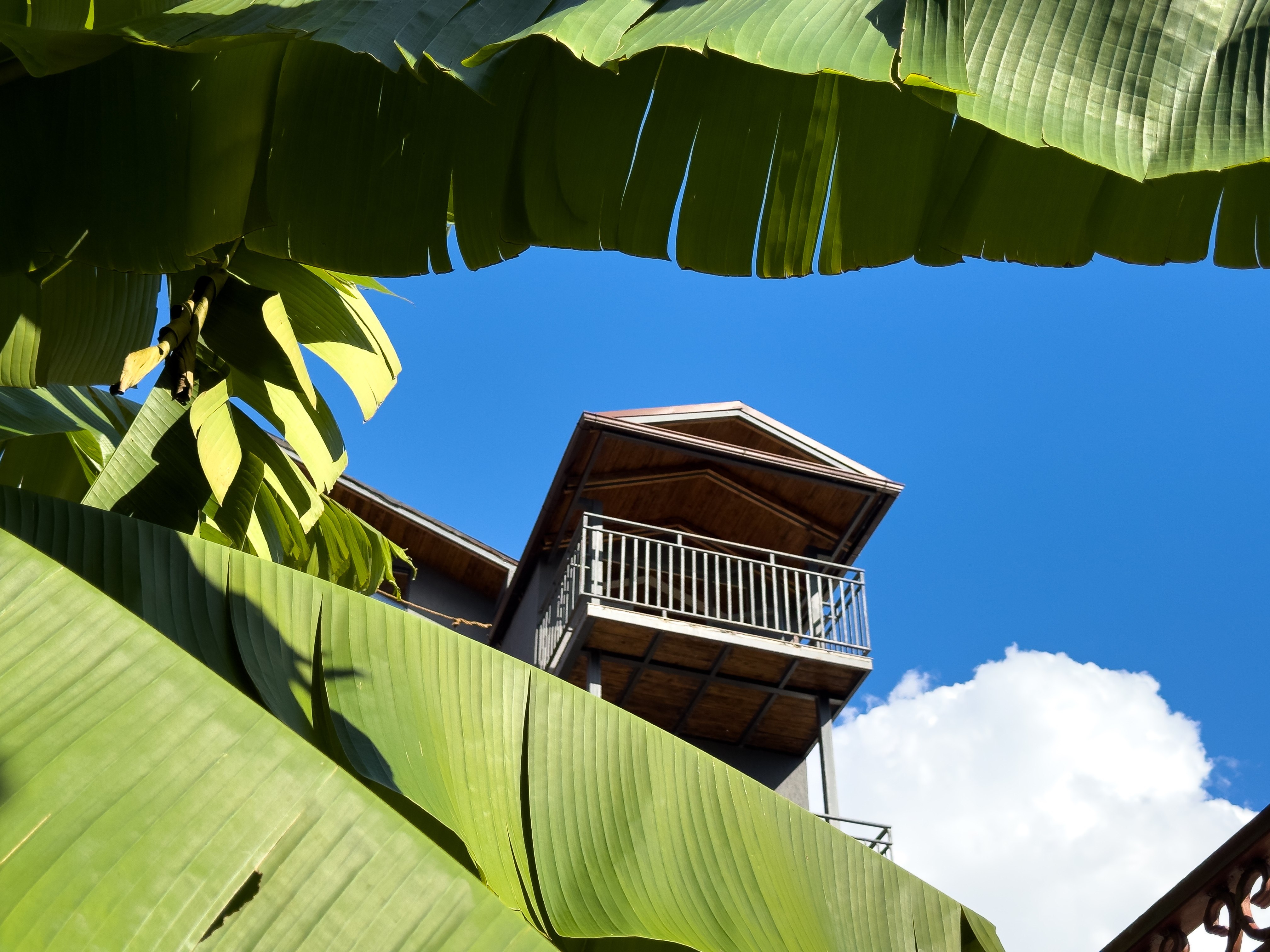 Территория