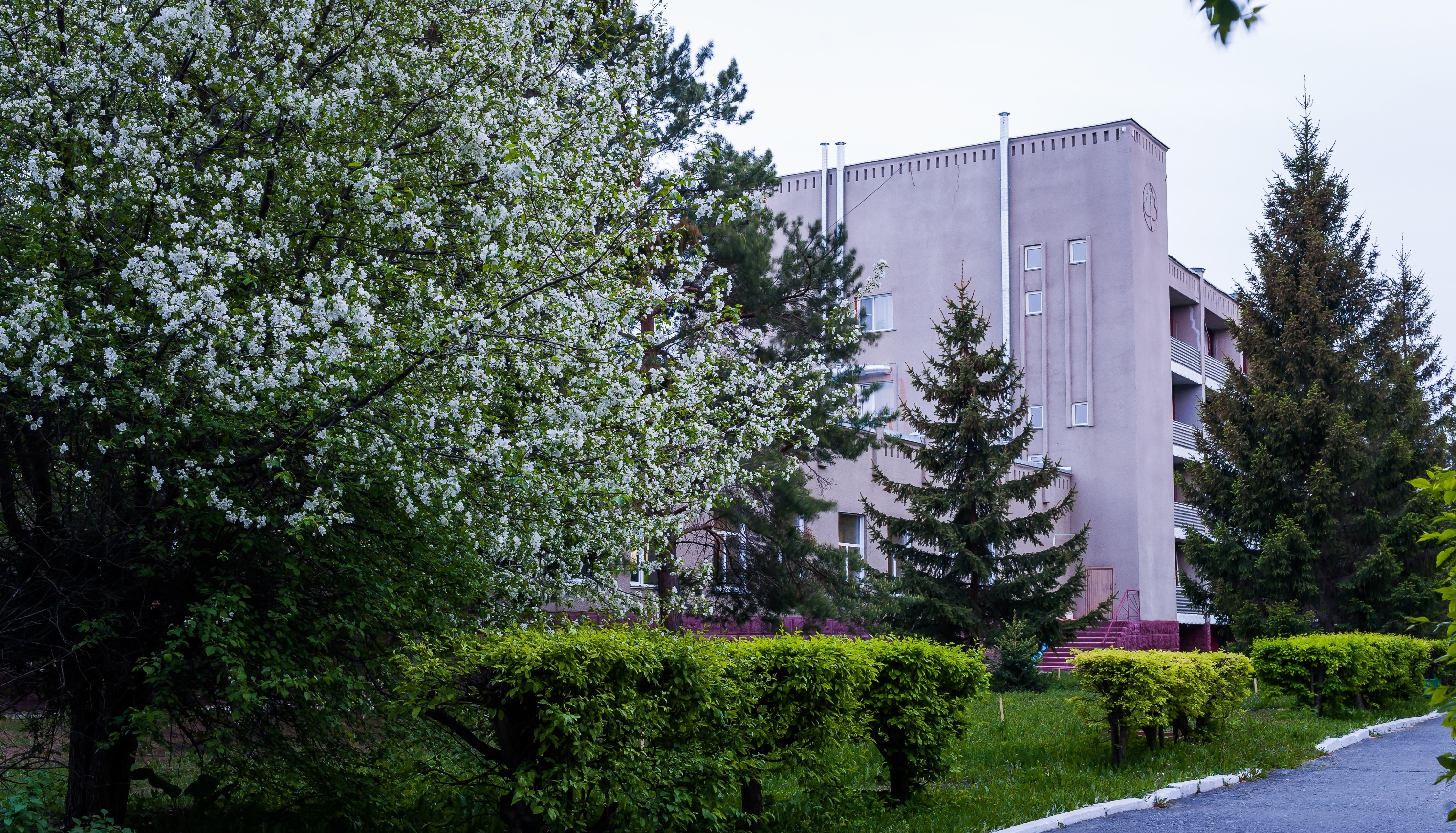Краснозерский