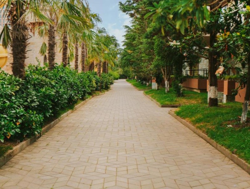 Dreamland Oasis Chakvi