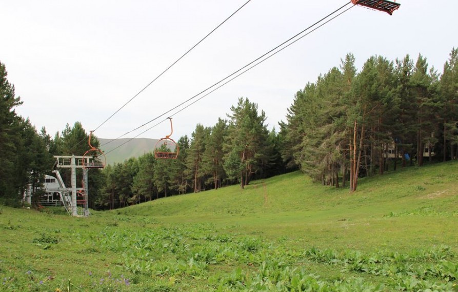 Территория