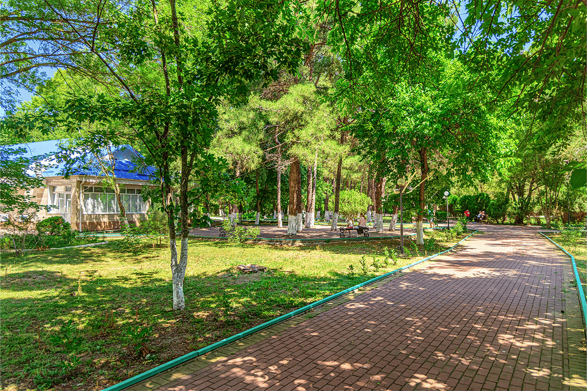 Территория