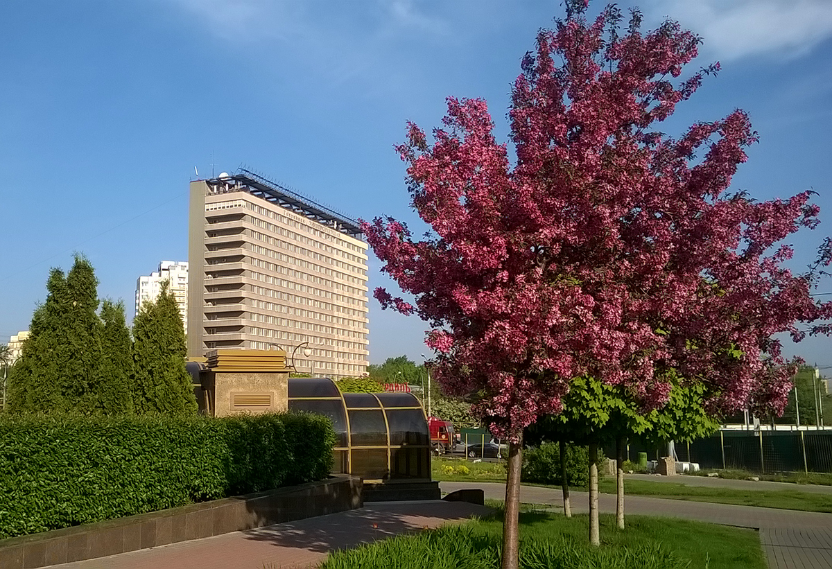 Гостиница университетская москва фото