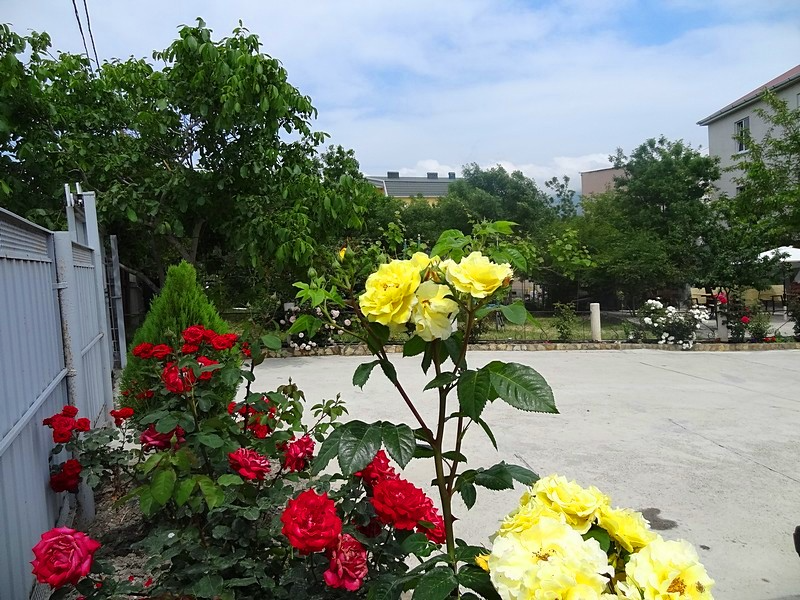 Фото 9