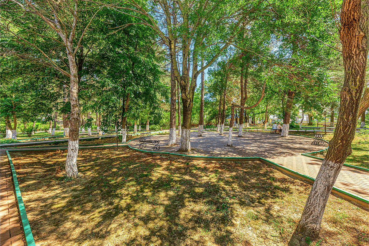 Территория