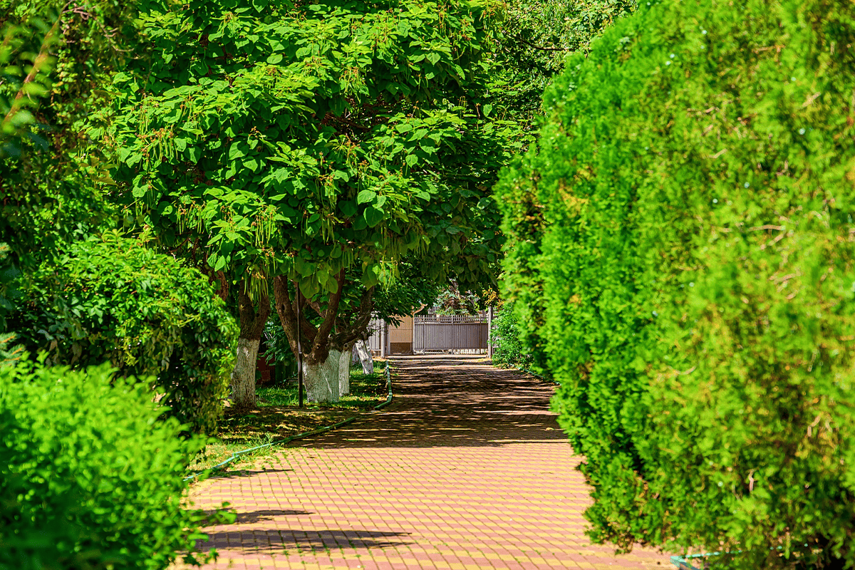 Территория