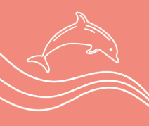 Обучающие курсы