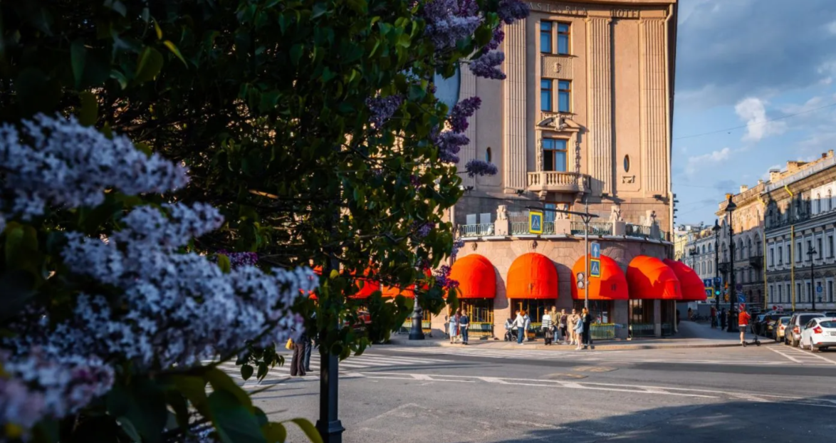 Внешний вид