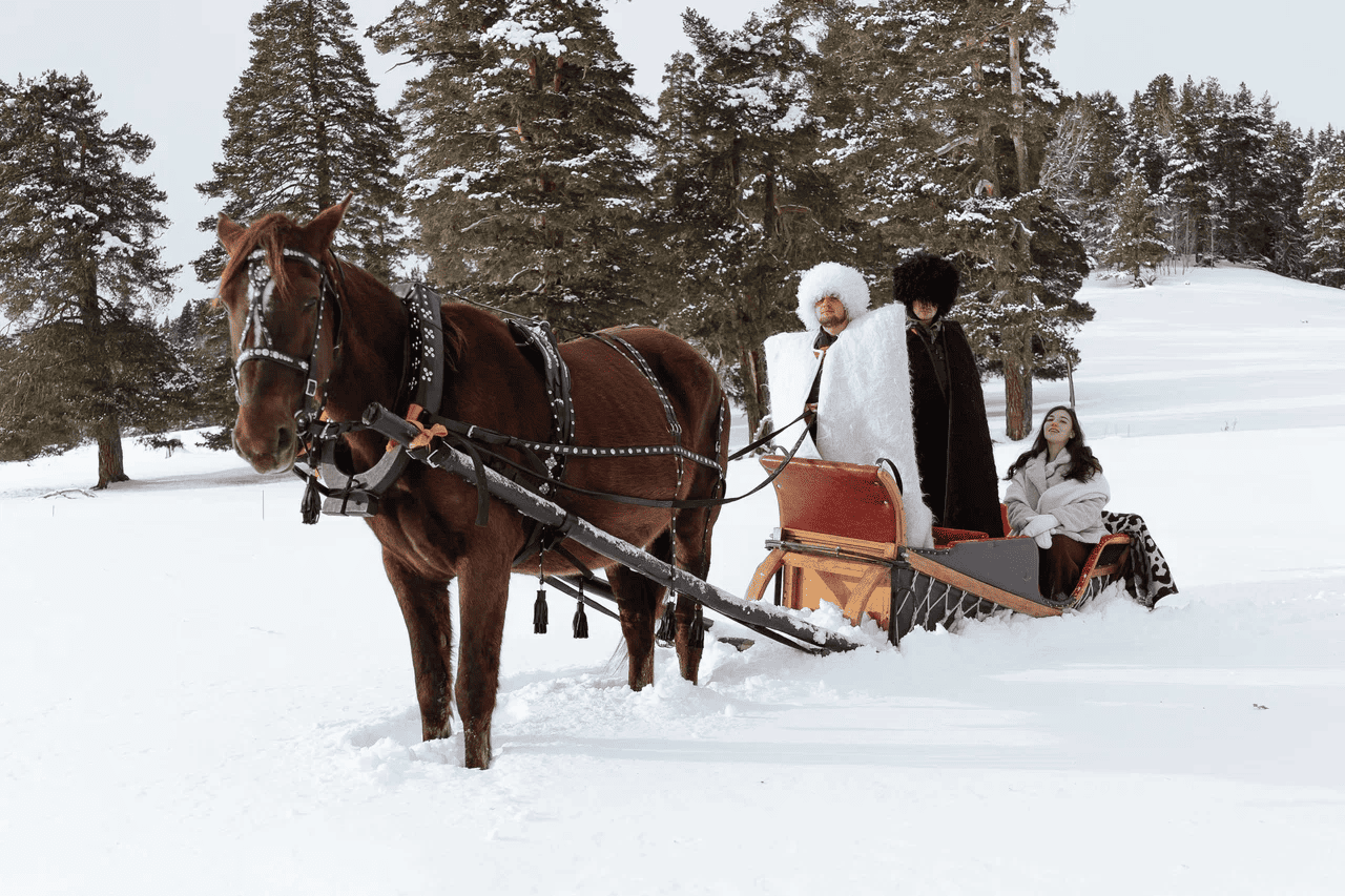 Развлечения