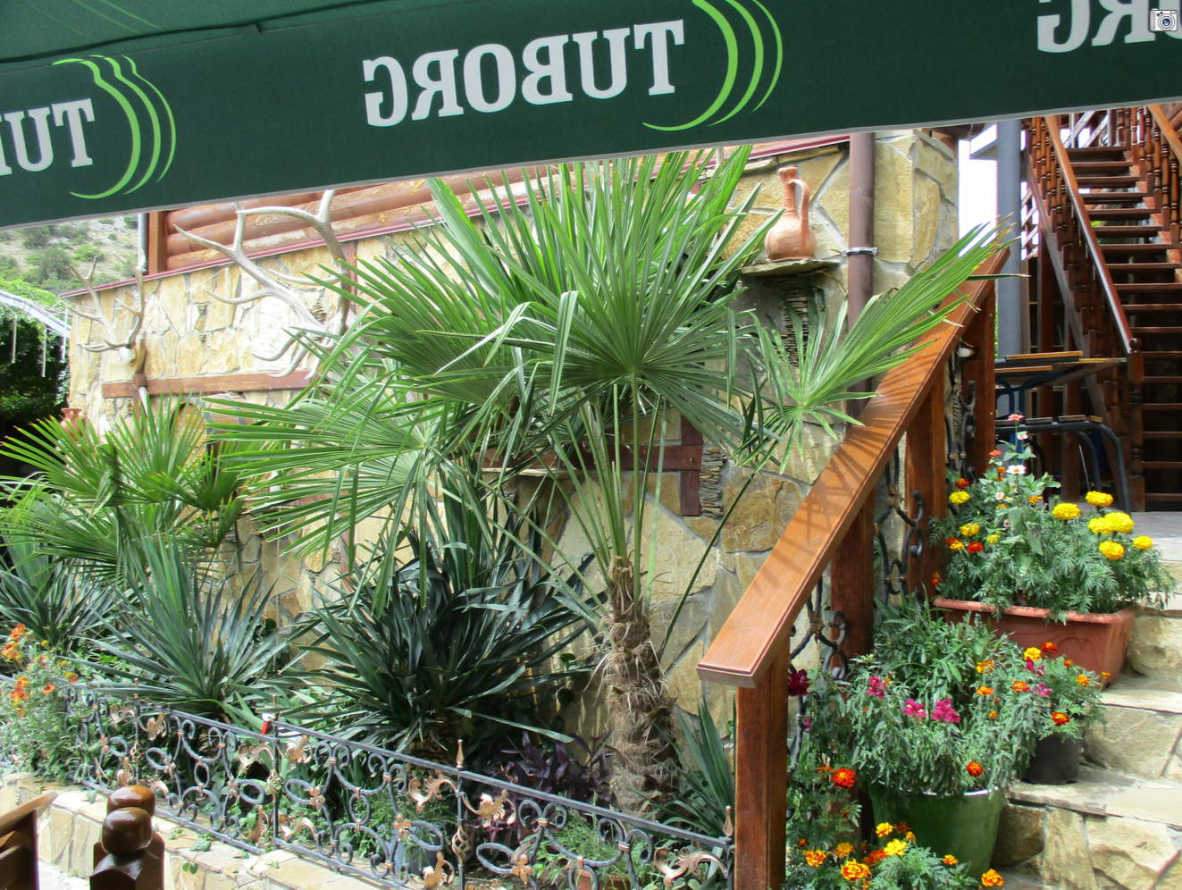 Фото 7