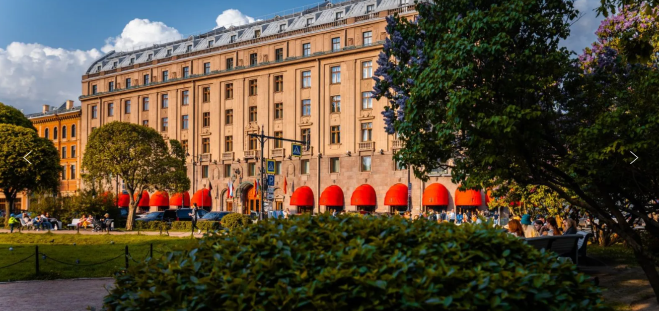 Внешний вид