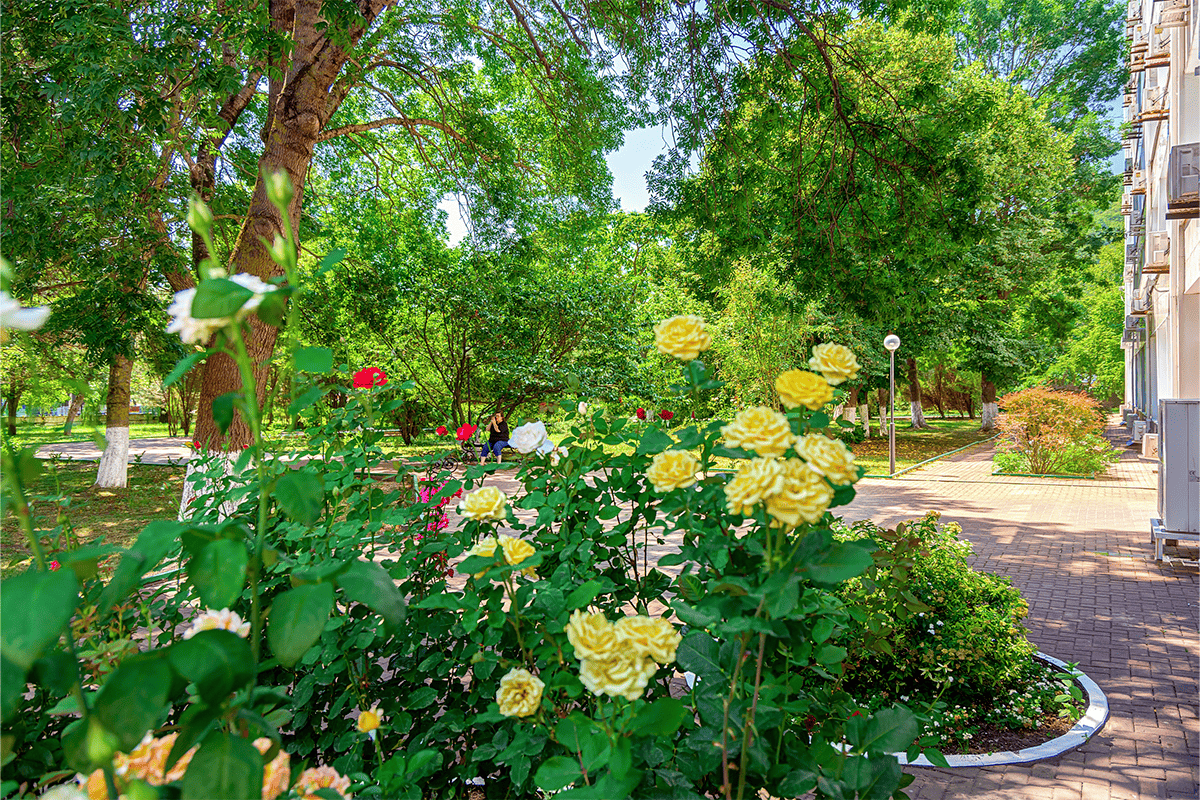 Территория