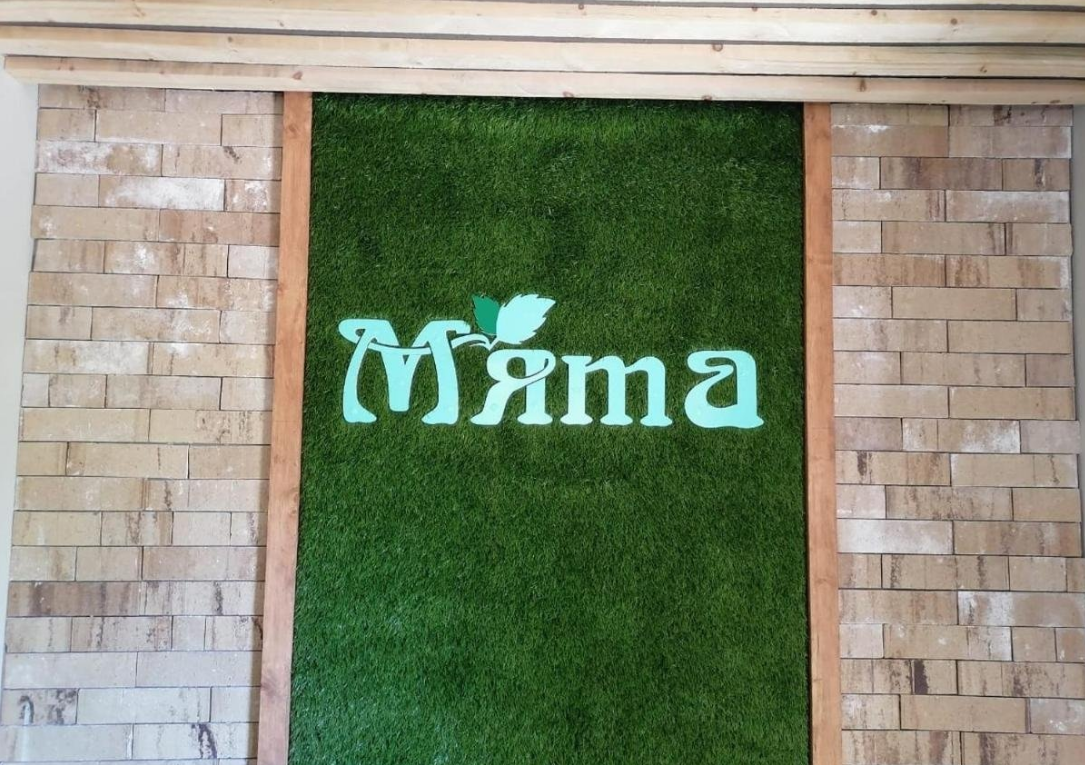 Мята Камчатка