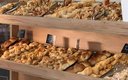 «Таврия» санаторно-курортный комплекс