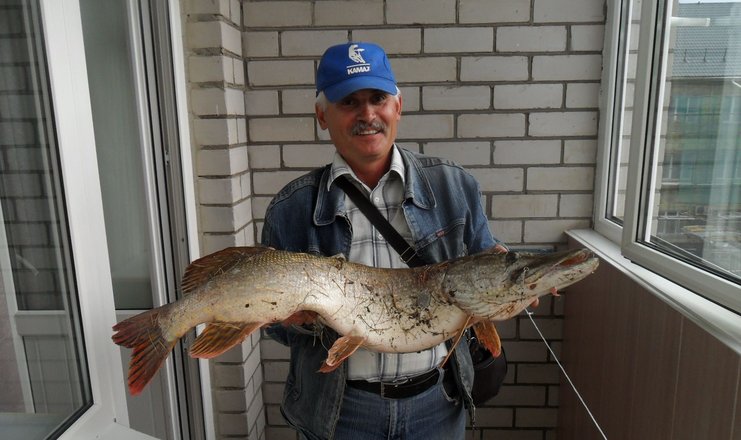 Ромашкино санаторий альметьевск фото