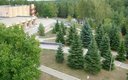 Территория
