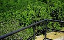 Стандартный 2-местный (с балконом)