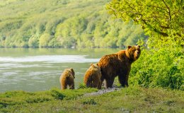 Камчатский край 