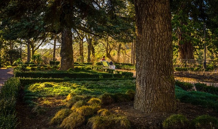 Интурист ялта green park фото