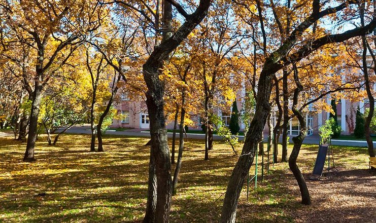 Волжские дали саратов фото