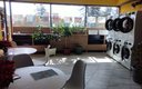 Кафе-прачечная