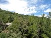 Что такое курпаты в ялте. Смотреть фото Что такое курпаты в ялте. Смотреть картинку Что такое курпаты в ялте. Картинка про Что такое курпаты в ялте. Фото Что такое курпаты в ялте