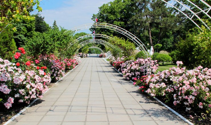 Санаторий голубая даль геленджик фото