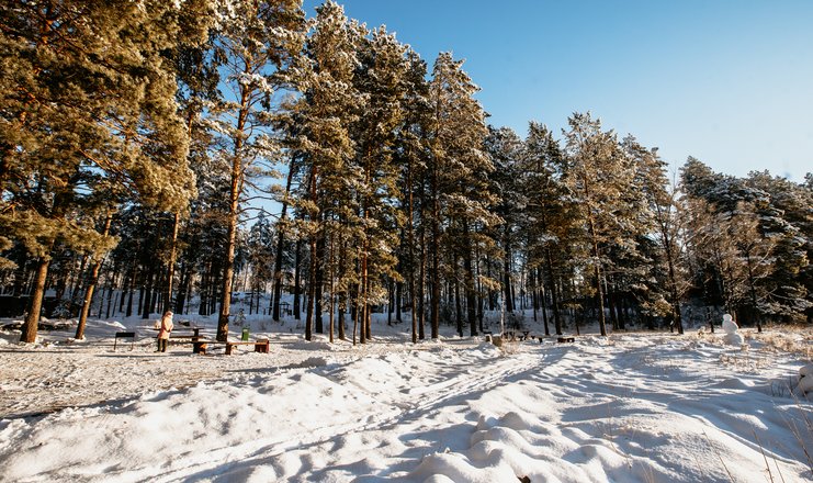 Чепош парк алтай фото