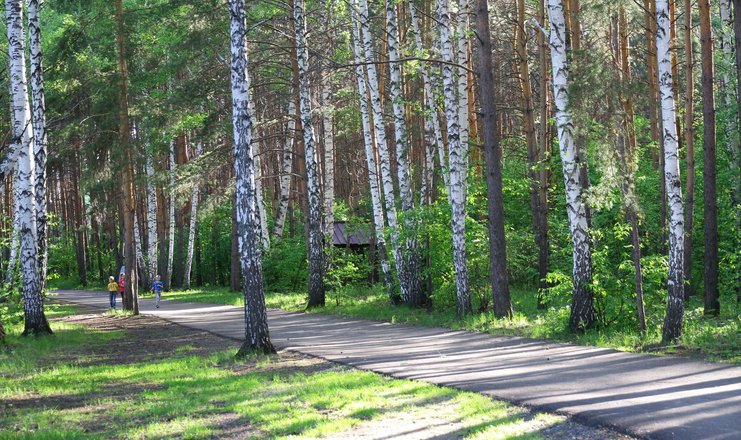 Карагайский бор санаторий фото