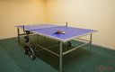Настольный теннис