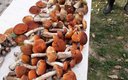 Активный отдых